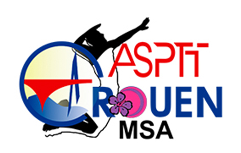 logo de la société Volley Rouen